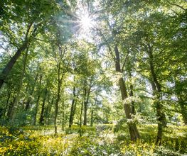 Herrenhaus Samow Bild 10