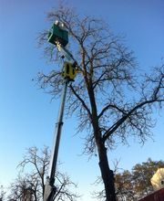 Lorillou Ets image 18