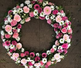 Blumen Kaiser Bild 5