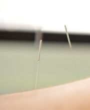 Dutoit Dorine Bild 2