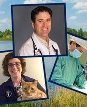 Lake Anna Veterinary Hospital image 11