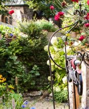 Sandfort Garten- und Landschaftsbau Bild 1