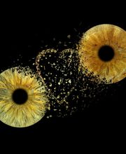 You & Eye Photo Montreux Bild 6