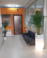 NationalWeb immagine 16