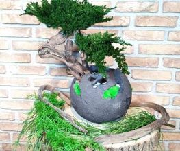 Vegetal Trend Sàrl Bild 6