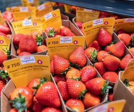 05_rewe_obst-gemuese_2