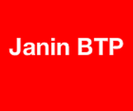 Janin BTP image 1