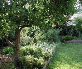 Hanspeter Müller Gartenbau GmbH Bild 8