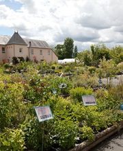ESAT Les Oiseaux image 7