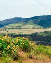 Arno Ufer OHG Bild 1