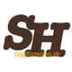 Sandro Hegglin Reisen GmbH