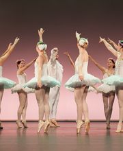 Verein TDC dance company & school Bild 3