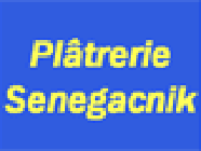 Senegacnik SAS
