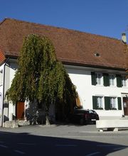 Lisibach Maler + Gipser AG Bild 13