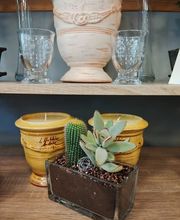 Le Quai des 4 Saisons image 5