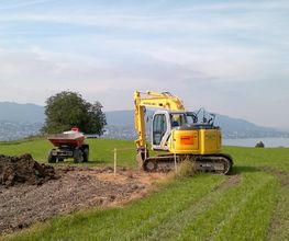 Gianesi AG Bild 1