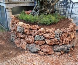 TICINO SPECIAL GARDEN SAGL Bild 5
