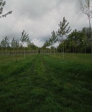 T-P Natura Paysages image 1