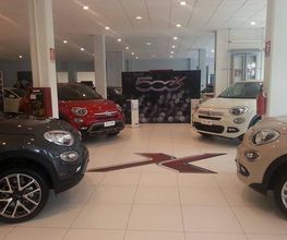 Gallery Cliente