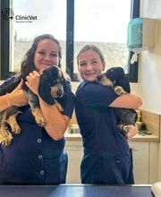 ClinicVet Vétérinaire Beaumont-le-Roger image 15