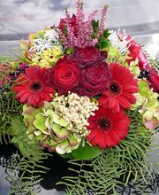 Blattwerk Bauer Ingrid und Markus Bild 3