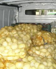 CEBESTUR,S.L. imagen 13