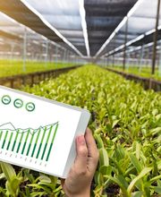 JOSE ANTONIO MOLINA imagen 5