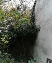 Meddour Paysage image 6