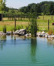 Rutishauser Gartenbau GmbH Bild 4