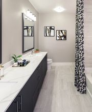 AMLI Addison image 10