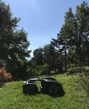 Brauchli - Rasenmäher Inhaber Cedric Bachmann Bild 3