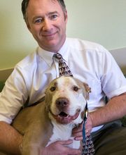 Topaz Veterinary Clinic image 1