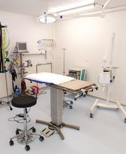 Kleintierpraxis am Obersee GmbH Bild 12