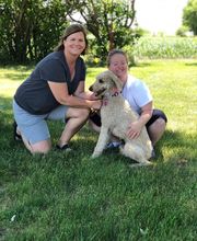 Dog Guard Midwest image 6