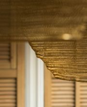 Cécile Cattoen -Id image 2