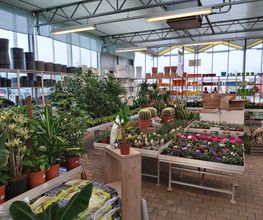 Pirig Gartencenter Bild 5