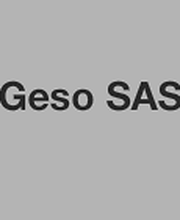 Geso SAS image 2