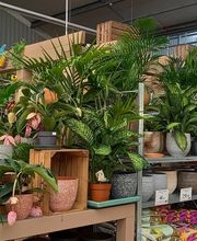 La Main Verte image 19