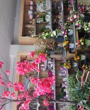 Gartencenter A-Z Velbert GmbH Bild 27