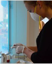 Kolibri Apotheke Bild 5