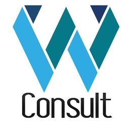 Wasa Consult