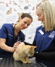 Aspen Creek Veterinary Clinic image 3