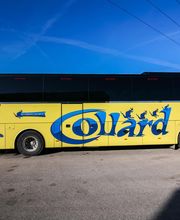 Cars Collard image 14