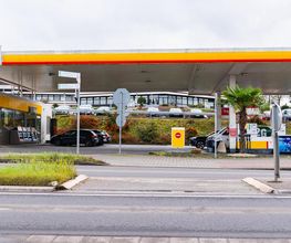 Shell Bild 6