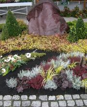 Blumenland Wiedmaier Bild 5