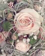 Schaufelbühl AG Blumen und Accessoires, Gartengestaltung Bild 10