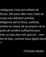 Dorine Javois Richardson Bild 5