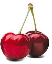 Queues de cerises EURL image 4