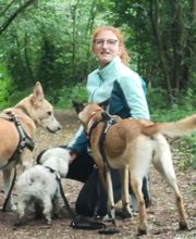 We like to Walk Bild 8