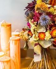 Linder Blumen am Bahnhofplatz in Aarau Bild 12